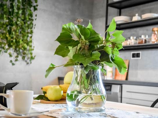ביאלי דונאייק Atlas Chmur Apartament מראה חיצוני תמונה